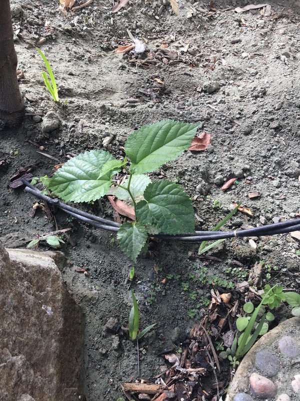 221B583E-C473-42C4-B138-7EDF642BE802