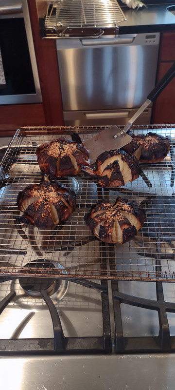 IMG_20240512_183232429