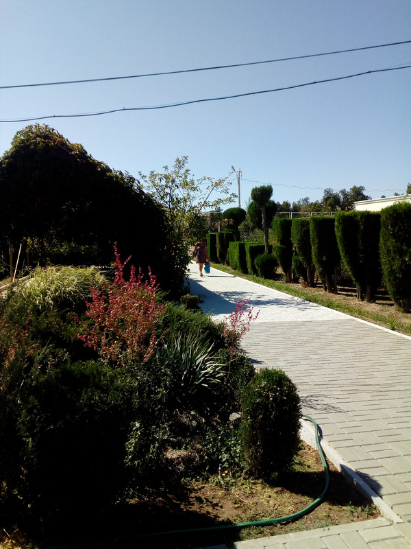 IMG_20170915_135633_1CS