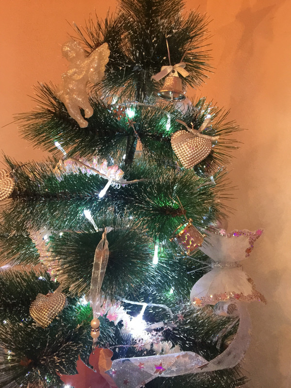 BB9A829C-F167-4C57-B0FC-E4AD96958129