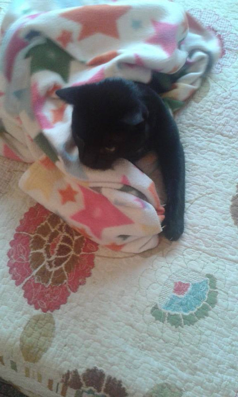 1620437_10204244201277942_387124754555050388_n