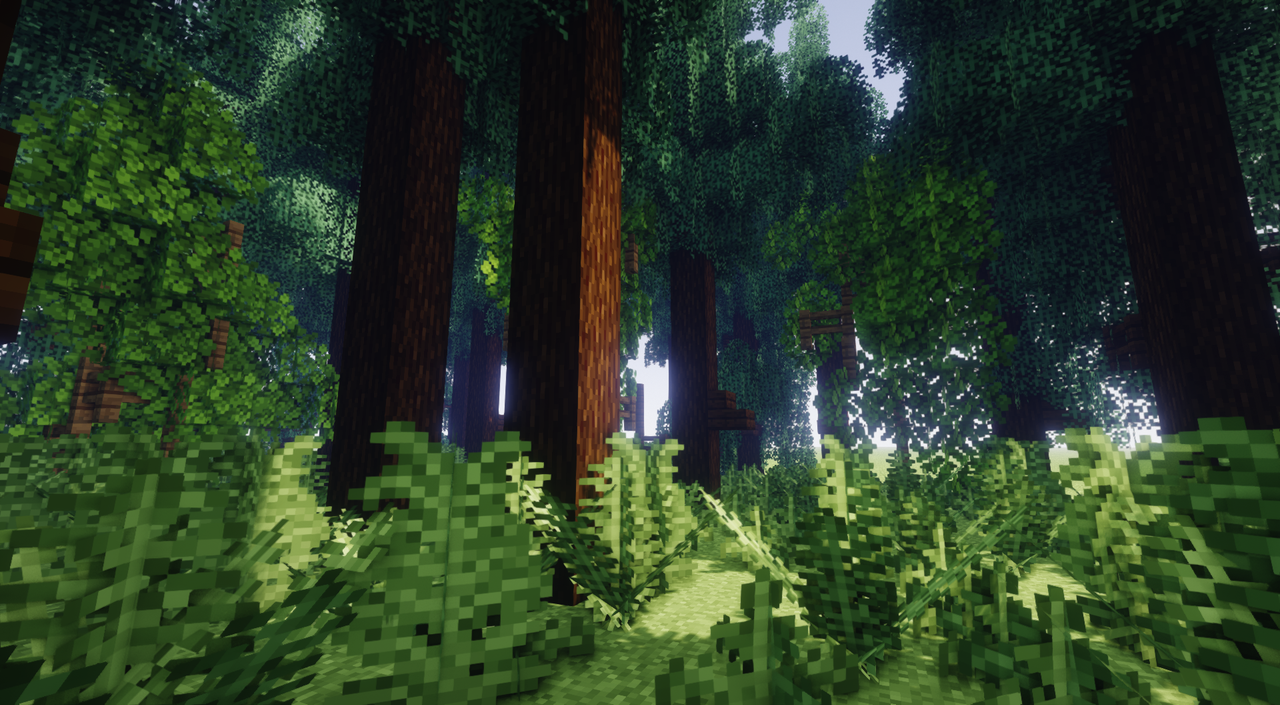 Jungle Forest