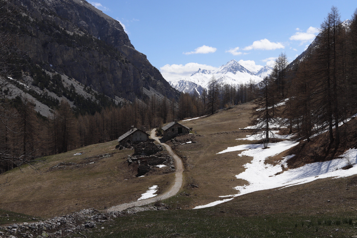 CCAFFE27-0531-46BA-9C70-BC504C995417