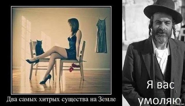 6fc74696f24f55b6640d13201d5b7847