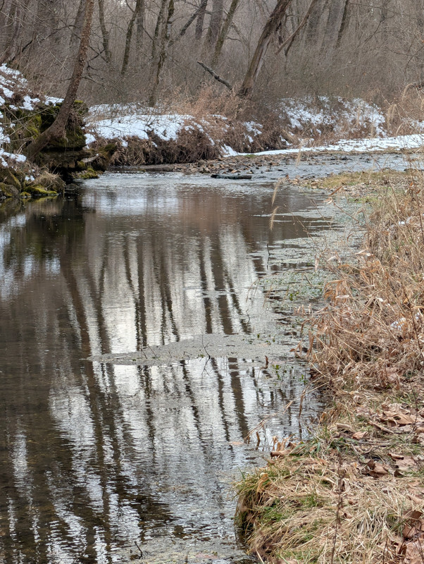 PXL 20260205 162108897