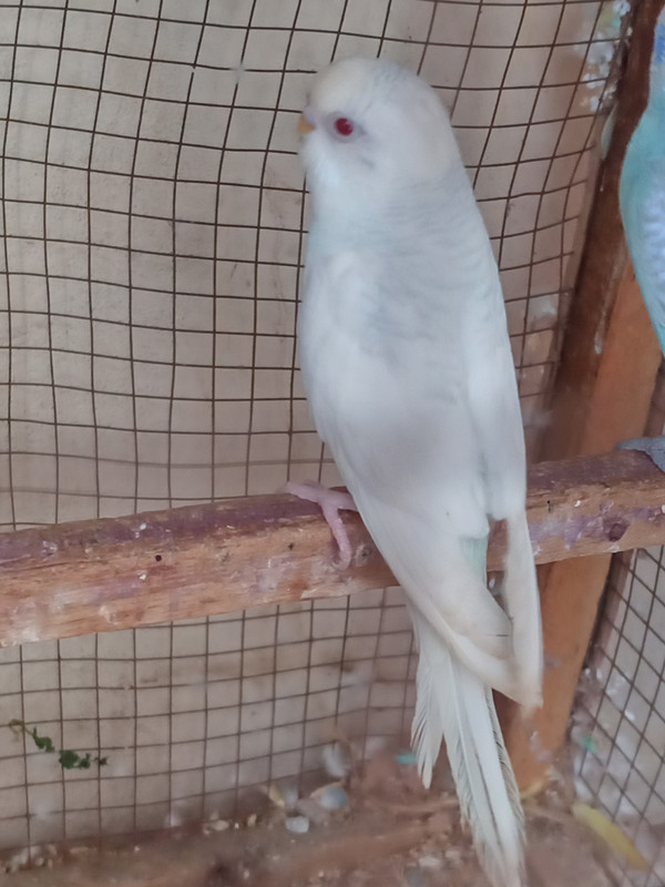 IMG_٢٠١٩١٢٣١_١٢٠٧٣٩