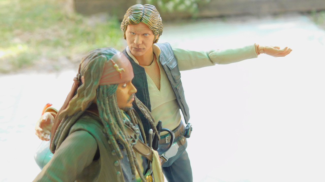 Дачно-Харлинский июнь-июль 2024 177