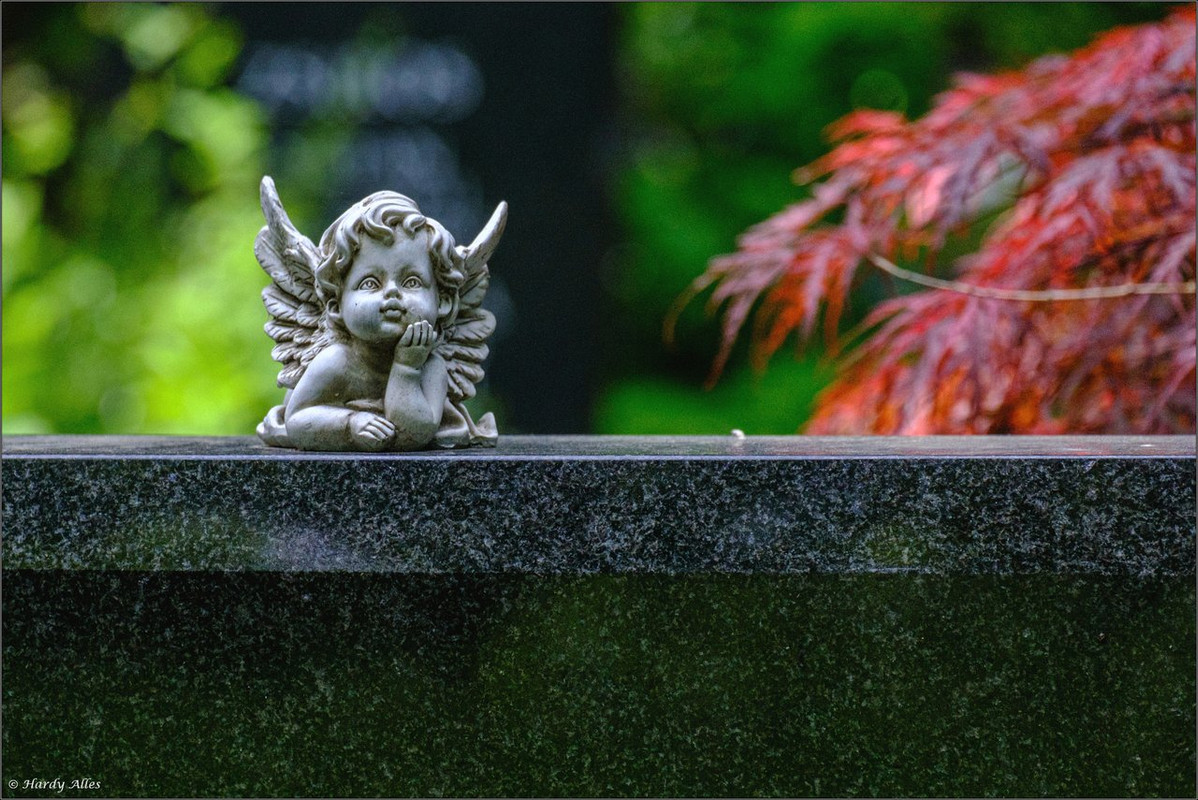 XT4G8160 2023 Köln LR ERWZ FB