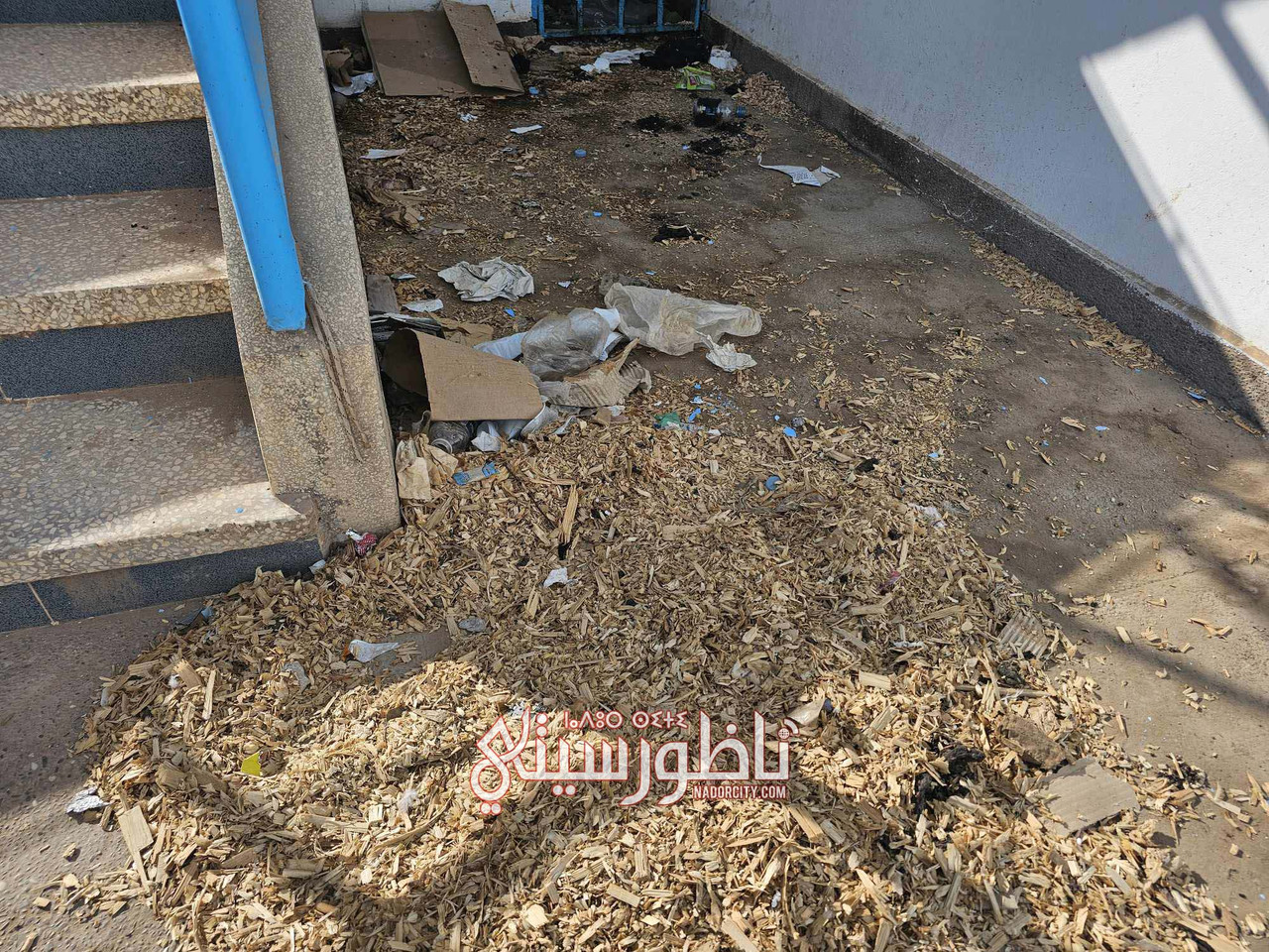 574489017-808833098658952-208260813160386867-n