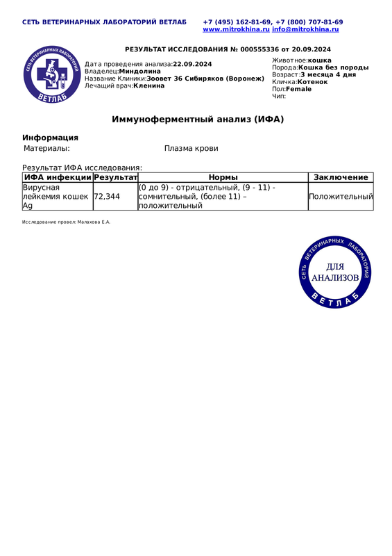 Результат анализа ИФА Диагностическое исследование 000555336 от