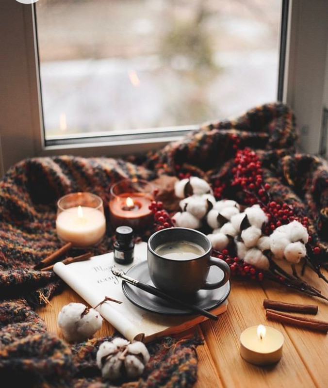 Screenshot_20230211_142640_Chrome