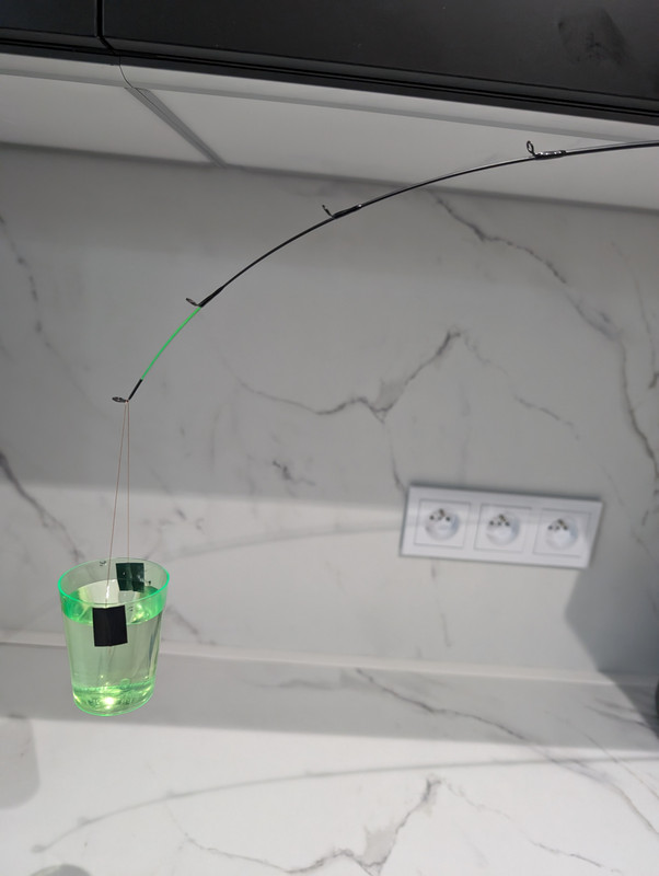 PXL 20260213 075614159