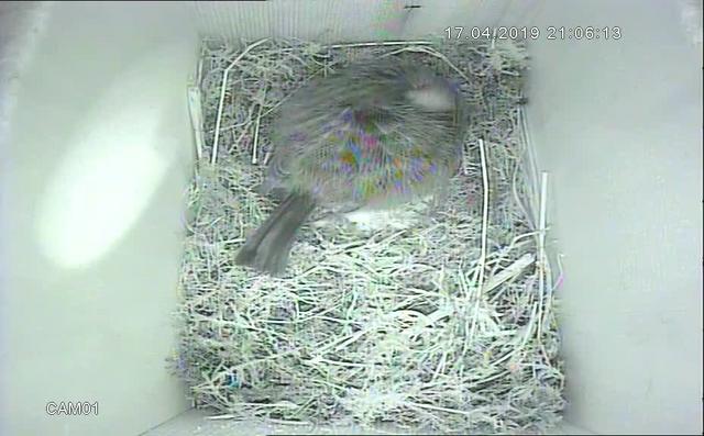 1660BD86-B2E4-49D4-B660-751FA9C33B01