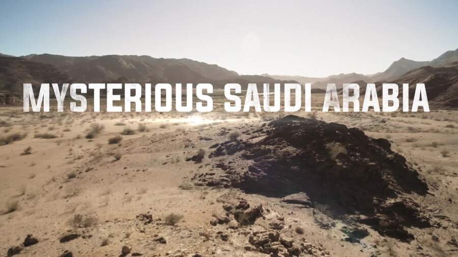 61f0e87061c4c865263ea56d9fc3e569