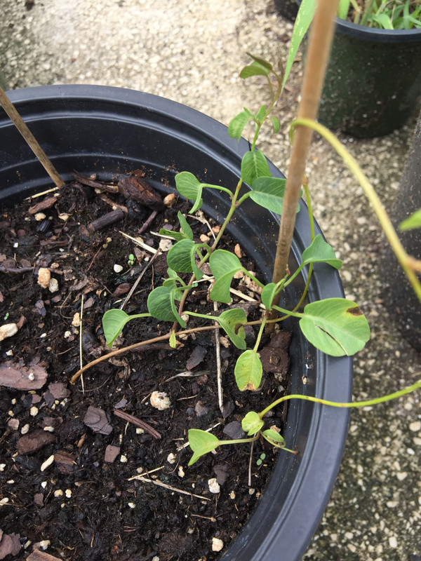 3A9CDA6E-8431-4C3B-B093-9D128C6DCCE5