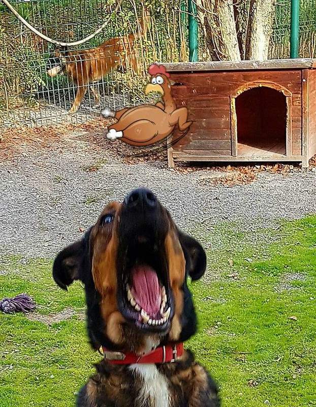 16426016_1600323409983576_9021809148910314267_n