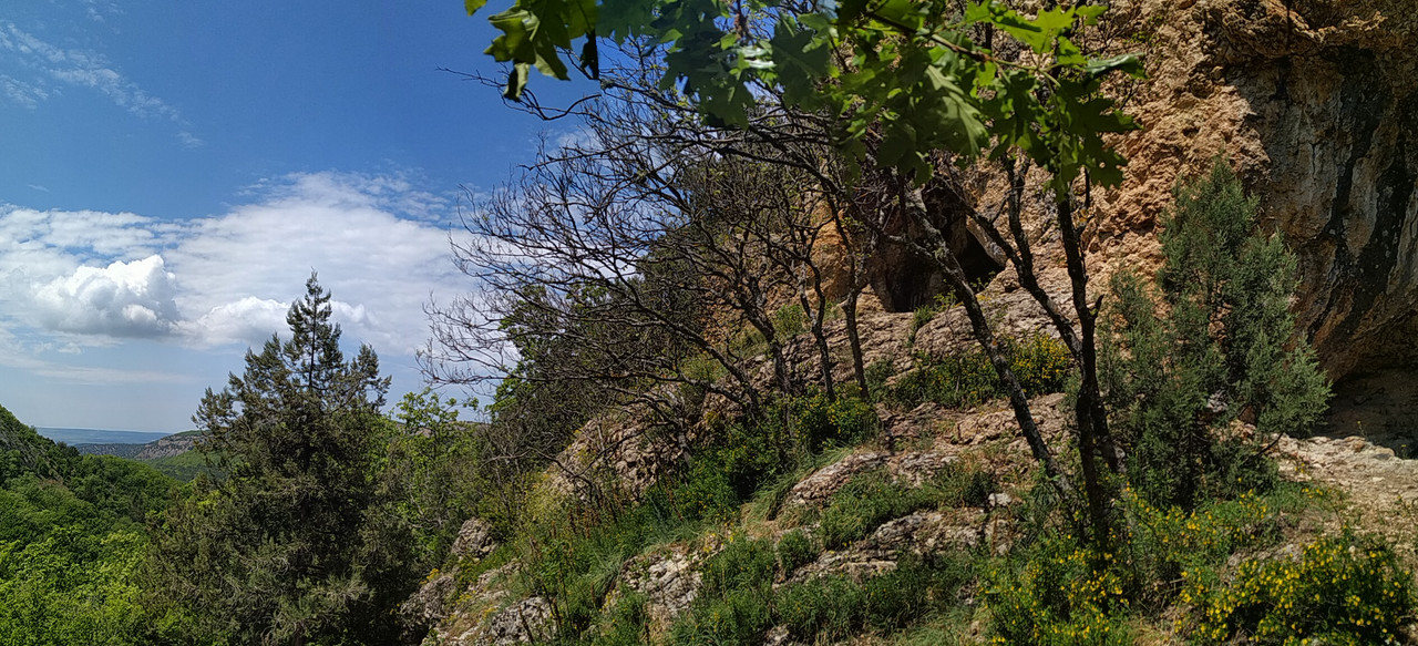 PANO_20190511_133123