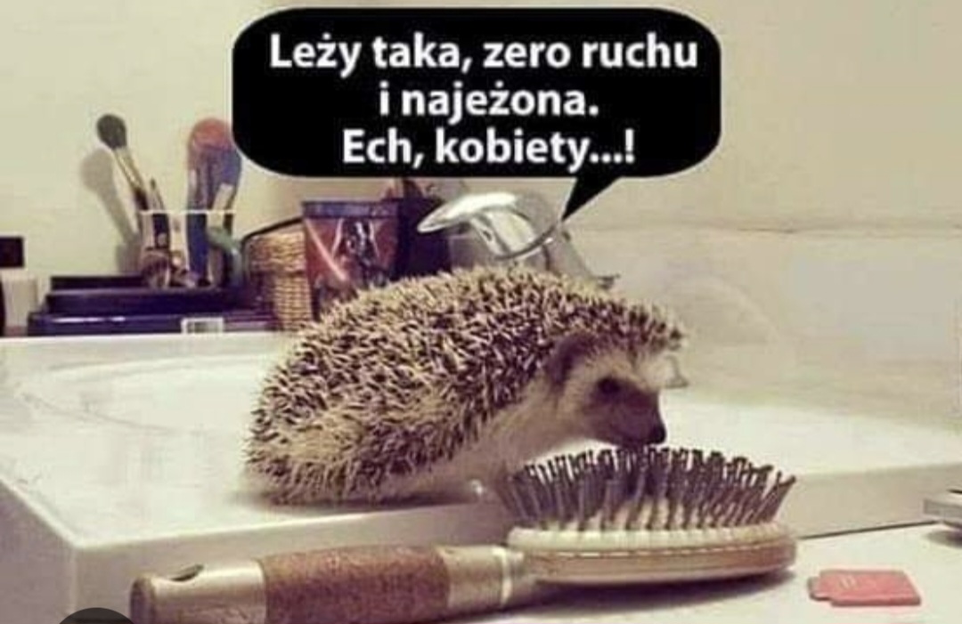 Obrazek