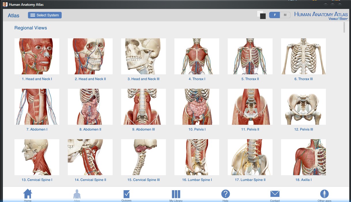 ScreenHunter_1157 Jun. 27 14.31