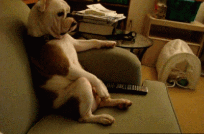 rzY1X.gif