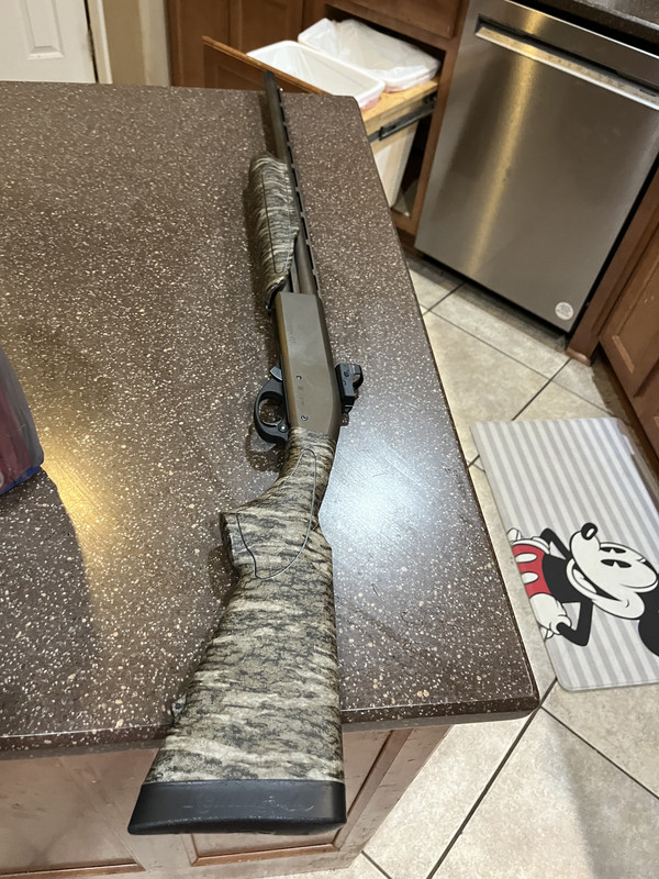 595A233B 43C9 4247 811F B89C2C72A16C