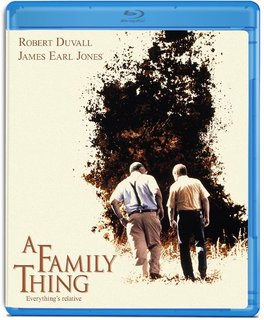 A Family Thing (1996) WebDL 1080p AC3 ITA - ENG + SUB