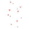 https://i.postimg.cc/pX9V2HkK/IMG-8342.webp