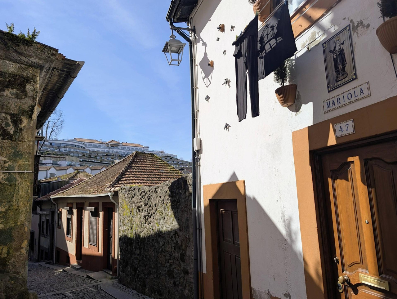 643315261 25585573127808983 7392992353141562736 n