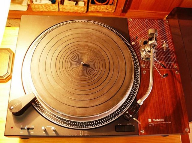 Technics SL-110  P1100015