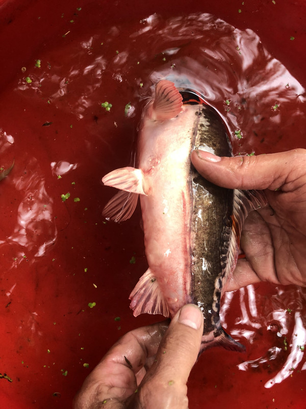 DCA60E95-EAF2-4691-BFF7-4B39689B2E61