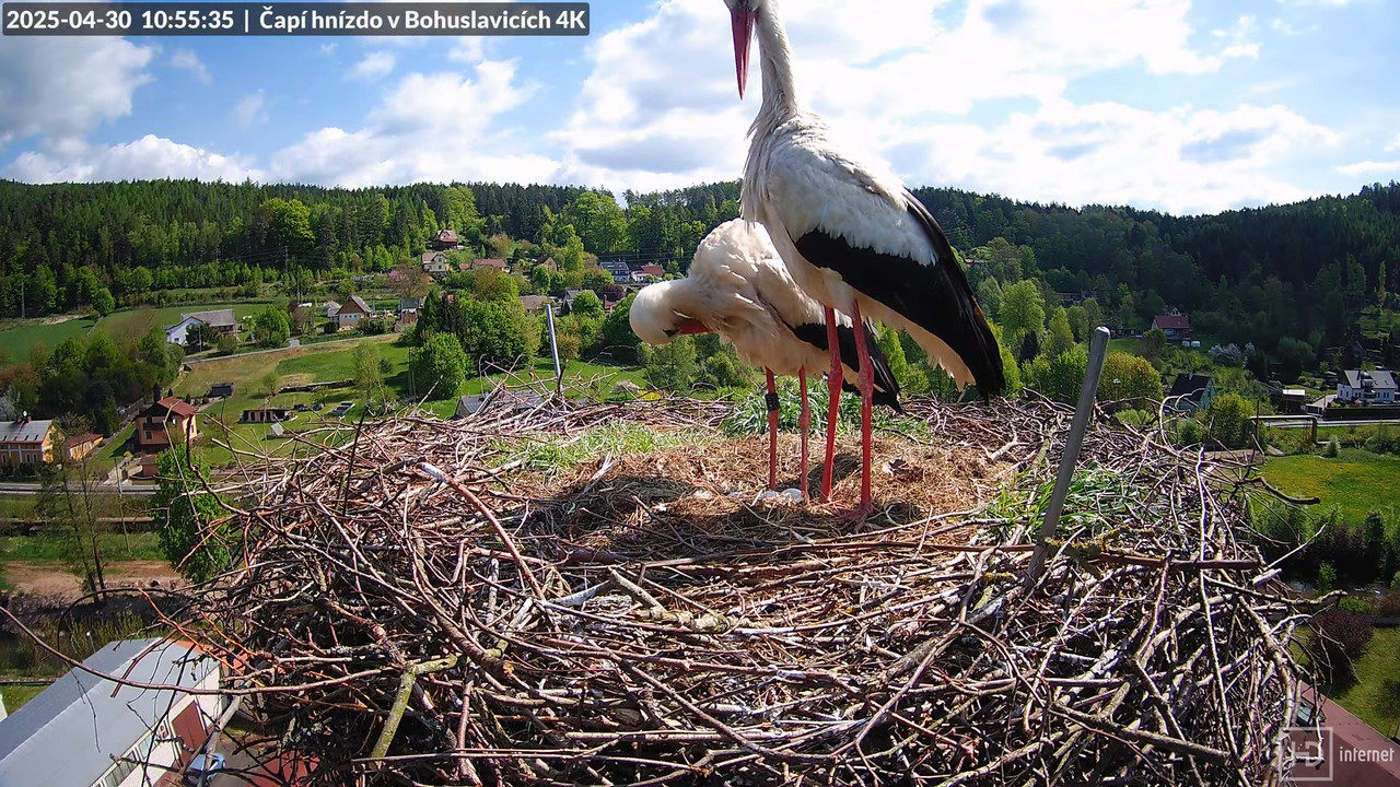Tiešraide no KARA uzņēmuma stārķu skursteņa Bohuslavicē netālu no Trutnovas 12-12-51 screenshot