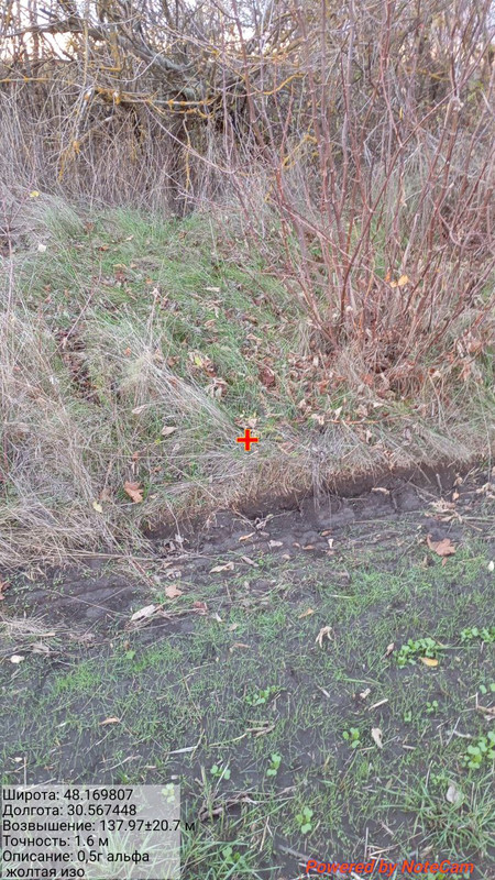 photo 4 2025 10 29 09 50 38