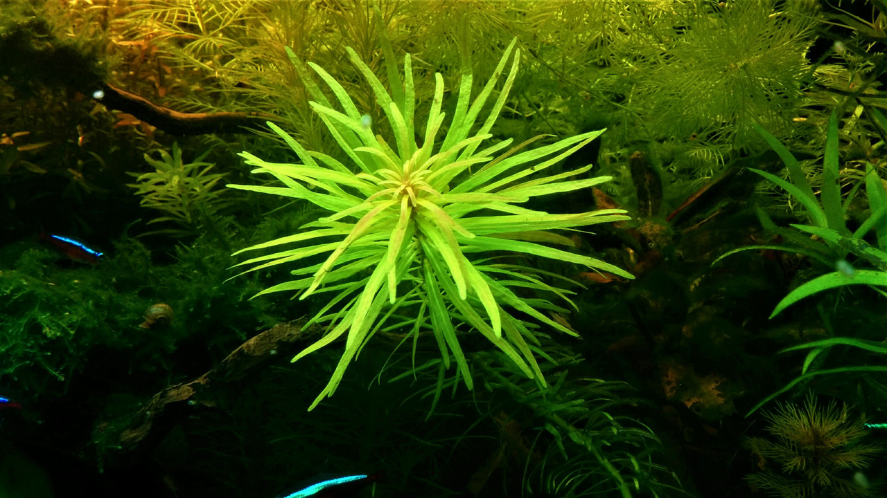 IMG_20170602_162112 (2)