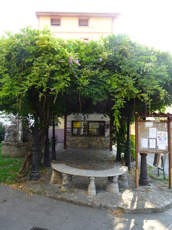 DSC02074