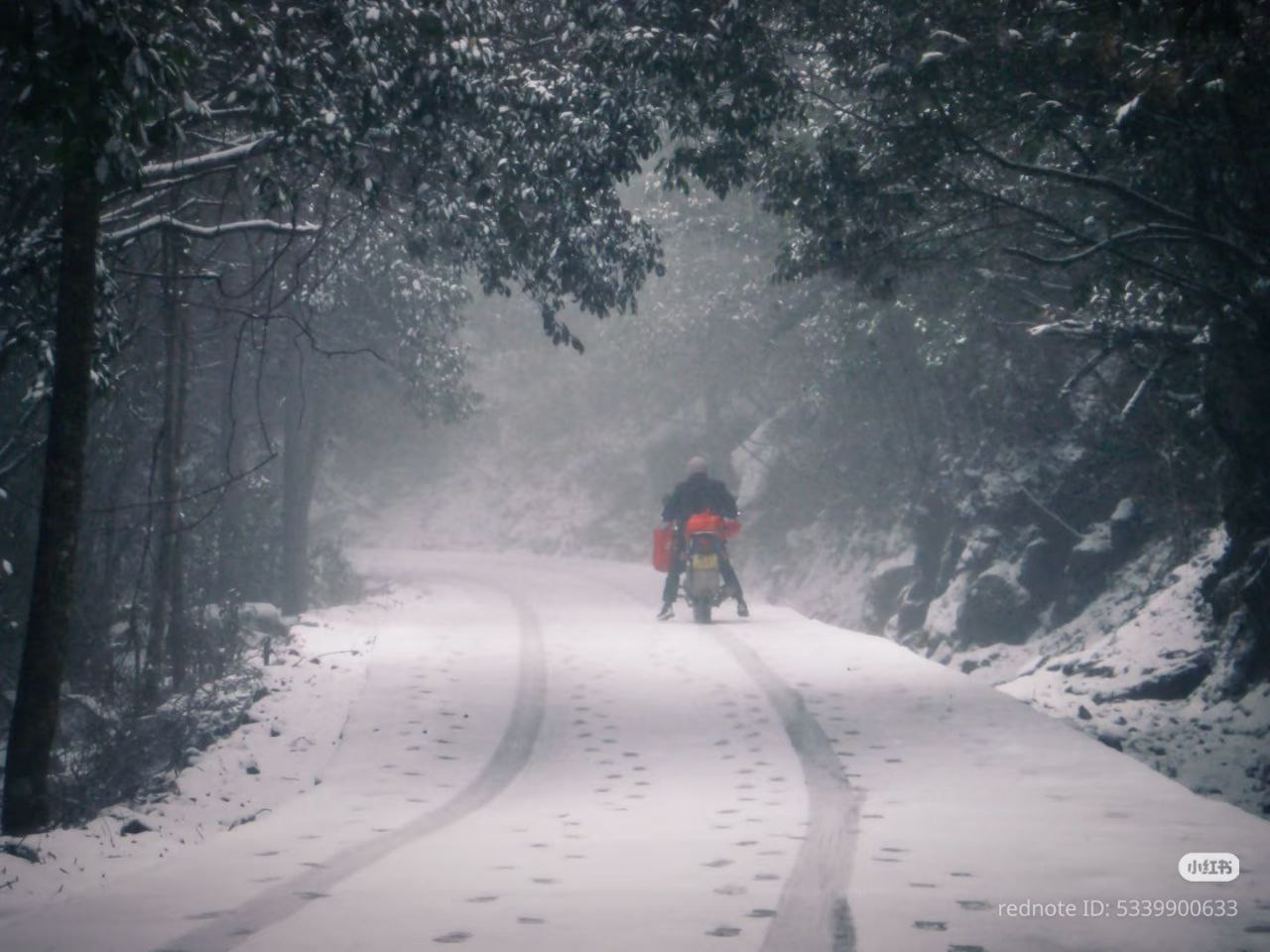 photo 18 2025 12 17 21 11 57