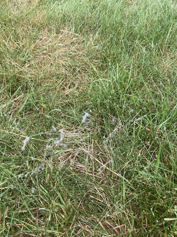 DB364FAE-576B-49F6-B854-8FEC3FB09587