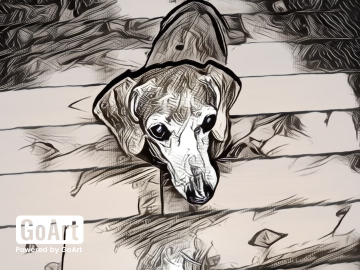 [Image: IMG-9181.jpg]