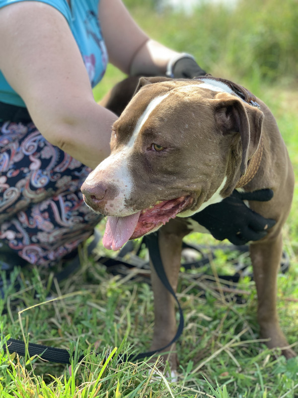 170A3D15-A807-47CD-90A8-0723E62591F4