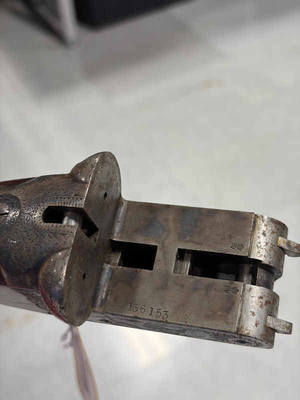 [Linked Image from i.postimg.cc]