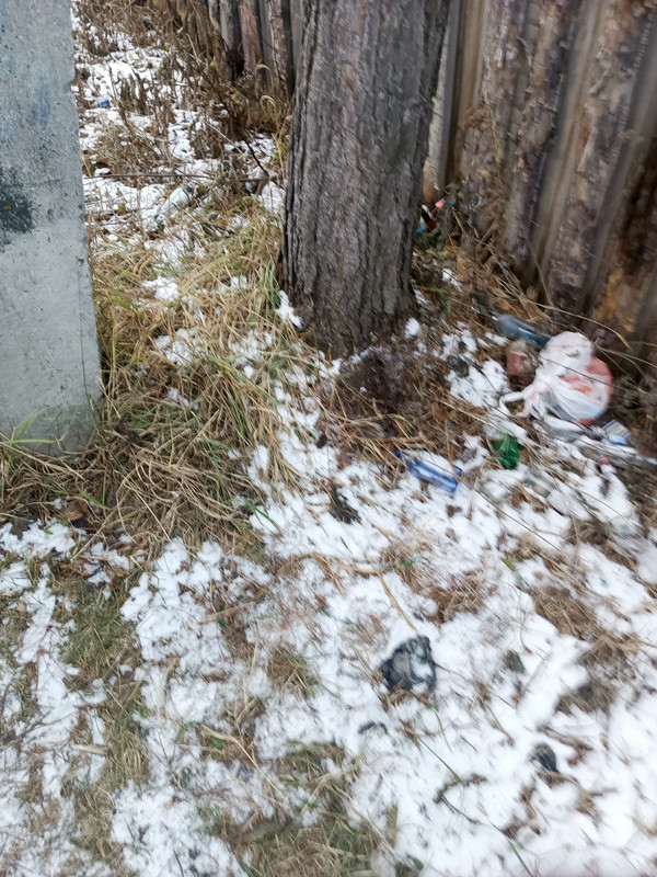 IMG 20251112 161816 960