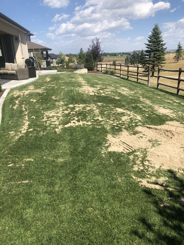 04A02316-3923-416D-B168-CD4231914DC6