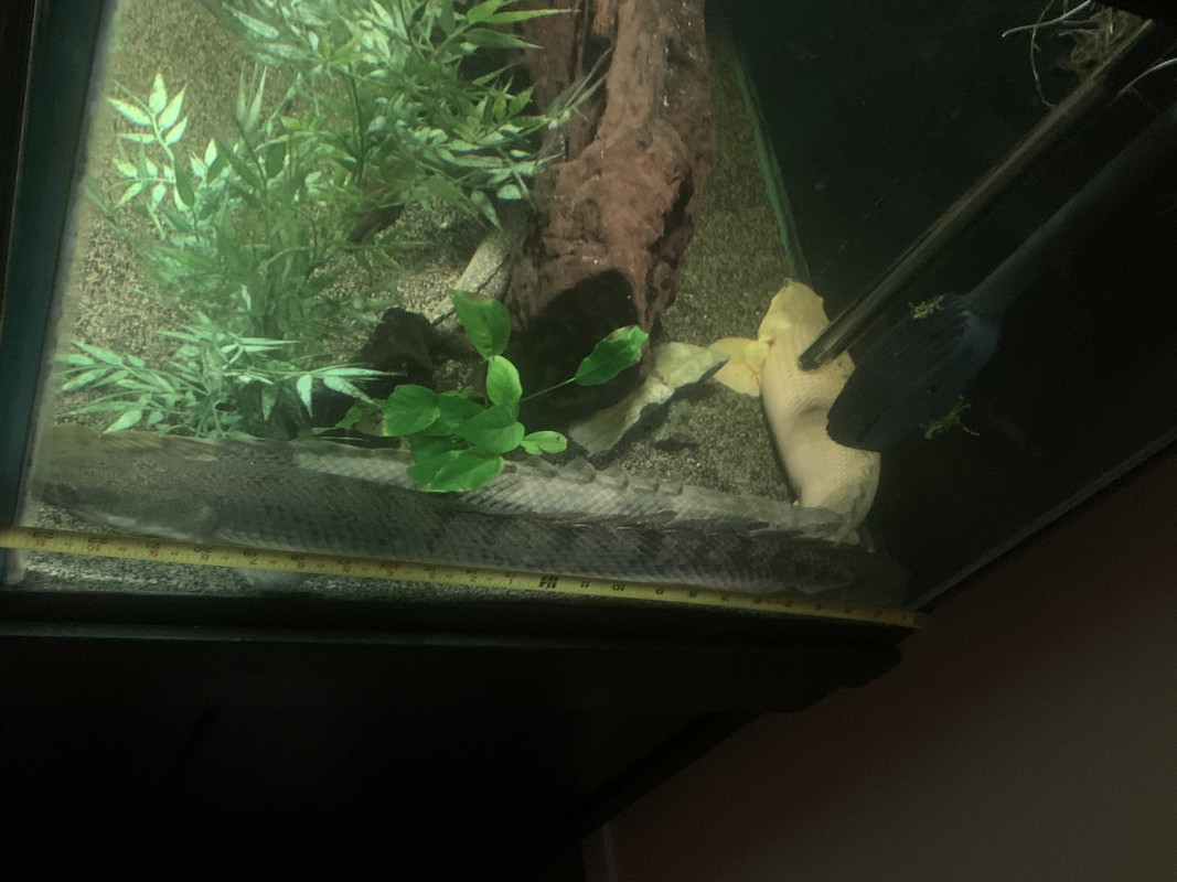 15C312CF-93CD-4228-81D7-C37F10D7BC8A