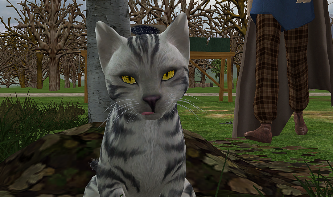 Greenshot_2025_10_25_20_15_07