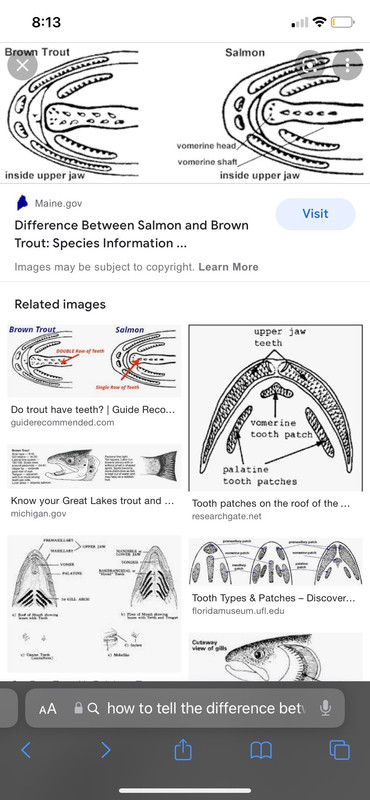 893CFF97-663E-4EE2-BFE7-9B2C03D3F2DA