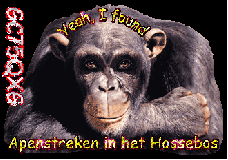 oie_np4jTGl5ou0J_zpswhlzpwxt