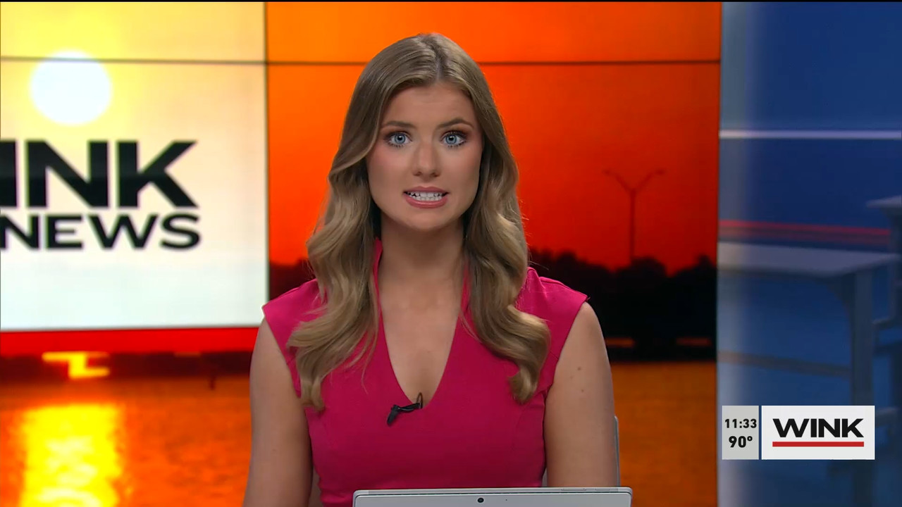 07.09 - 16.30.00 - WINK NEWS at 11 30am. Midday news..ts_snapshot_10.06.084