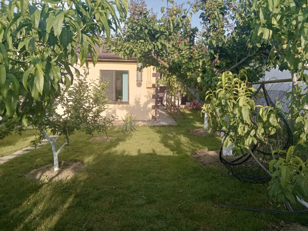 IMG-20240527-WA0037_edit_86435871596088