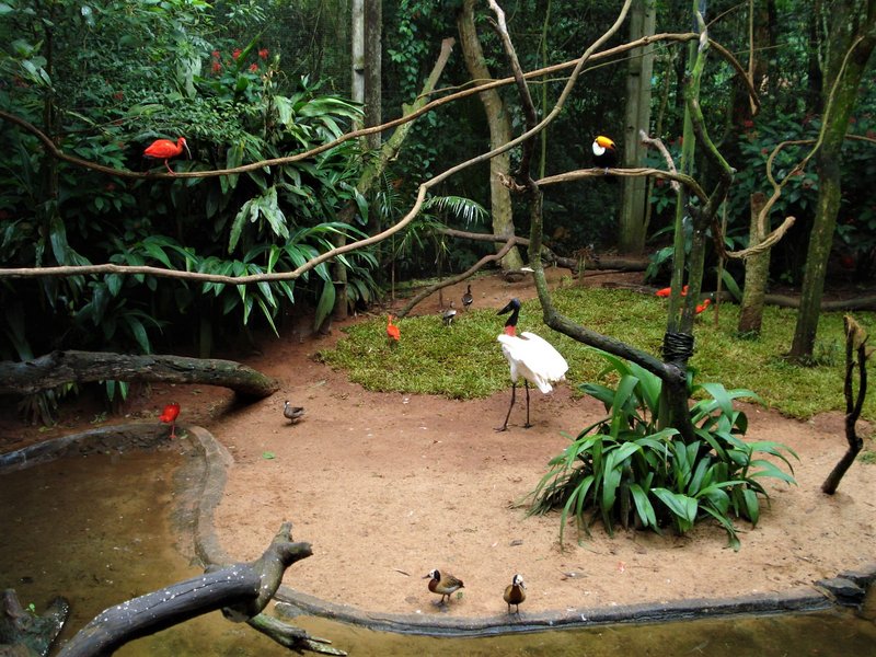Parque de las Aves-25-2-2010 - Brasil y sus pueblos-2010 (16)