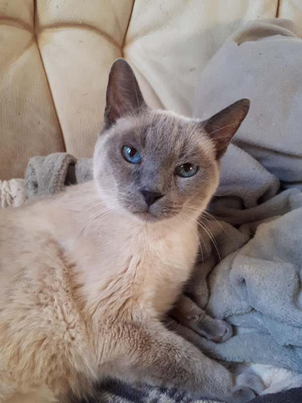 [Image: Resized-20211129-091801-9938-1.jpg]