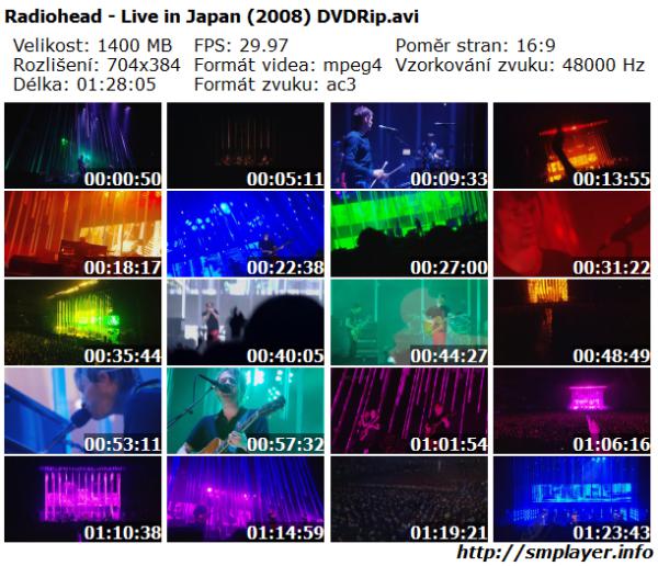 Radiohead - Live in Japan (2008)